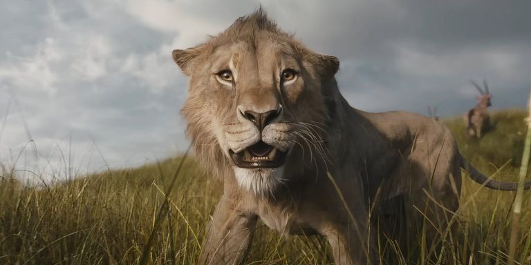 Mufasa: O Rei Leão chega a R$ 700 milhões em exibições globais e se destaca como pré-quebra do sucesso de 2019