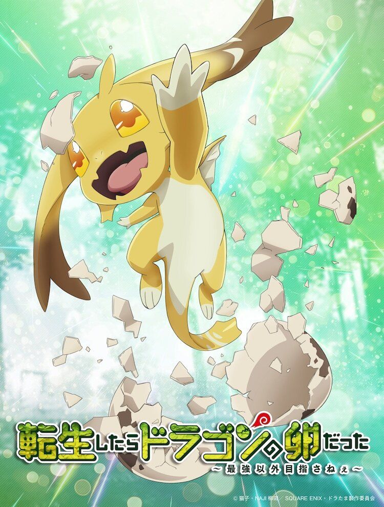 Adaptação de Anime promete encantar os fãs de ‘Tensei shitara Dragon no Tamago datta’ com estilo e personagens carismáticos
